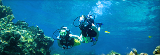 Plongée depuis nos hôtels des Caraïbes pour les plongeurs brevetés